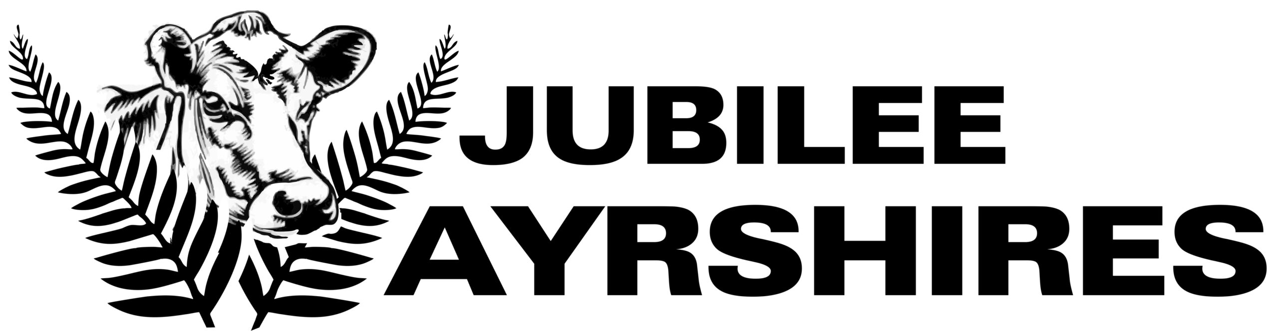 Jubilee Ayrshires